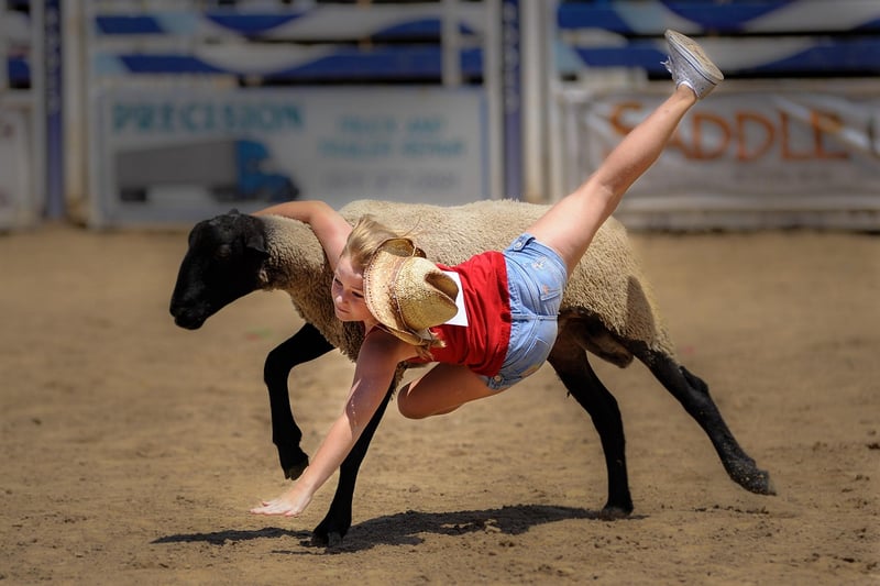 The Wild West